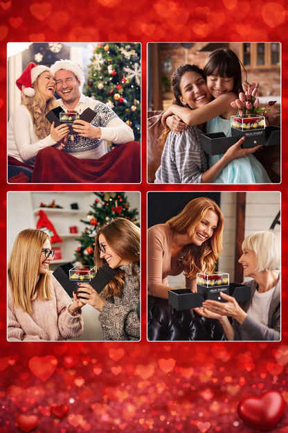 Preserved Flower Box – Best Wishes